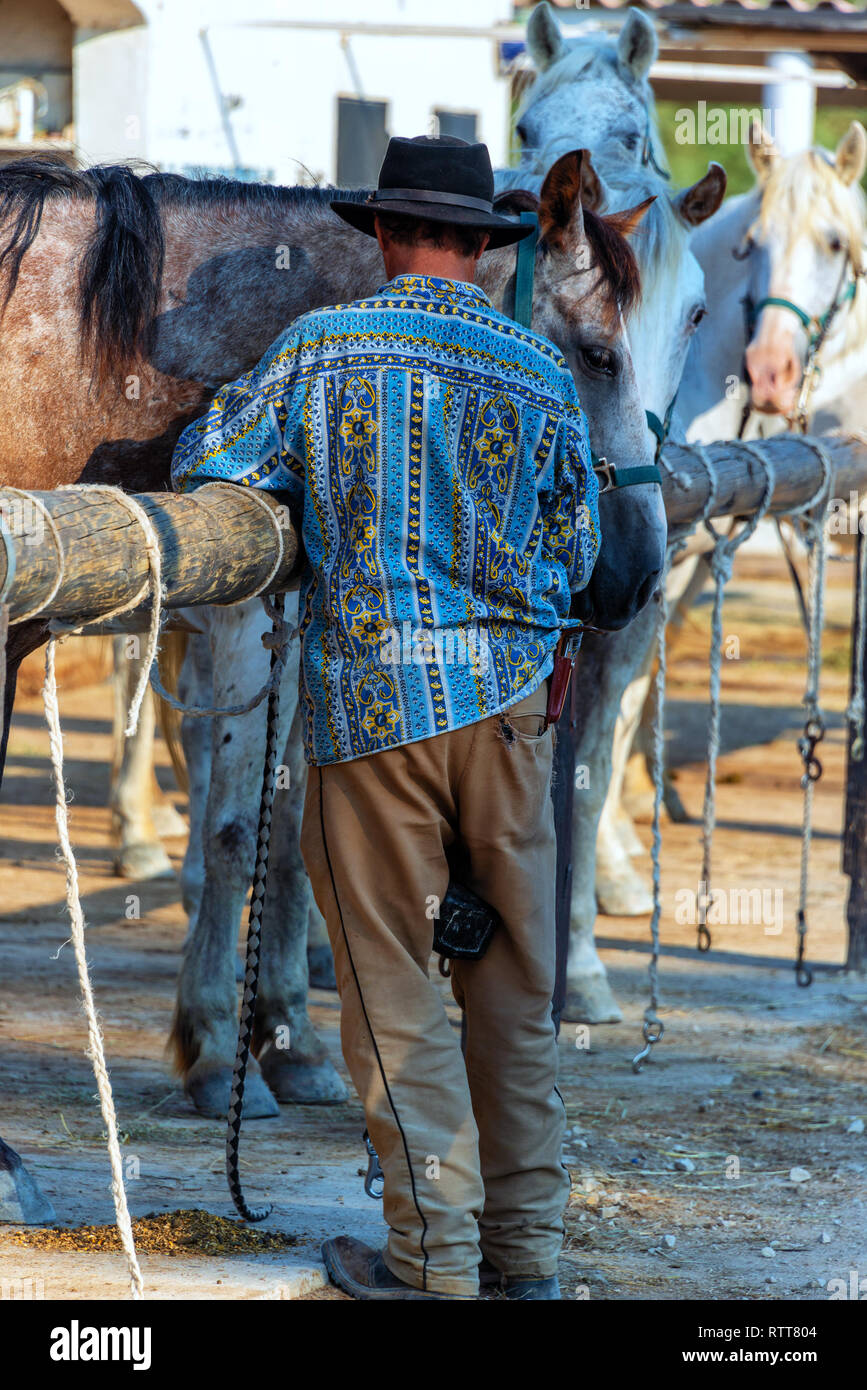 Chevaux de travail cow boy Banque de photographies et d’images à haute résolution Alamy