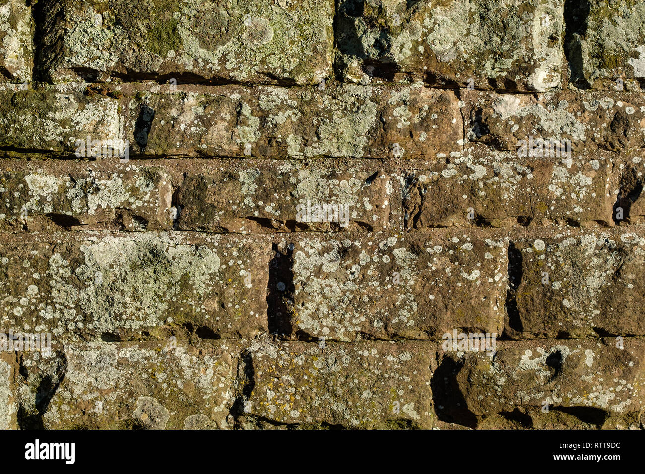Mur avec des vieilles pierres de grès avec le lichen Banque D'Images