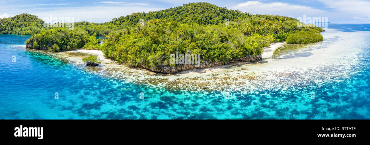 Vue aérienne d'une île calcaire, entourée par une barrière de corail, les îles Raja Ampat, Papouasie occidentale, en Indonésie, l'Océan Pacifique Banque D'Images