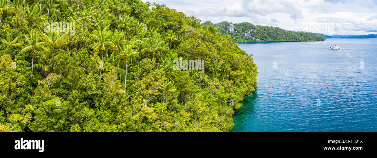 Vue aérienne de Raja Ampat, Papouasie occidentale, en Indonésie, l'Océan Pacifique Banque D'Images