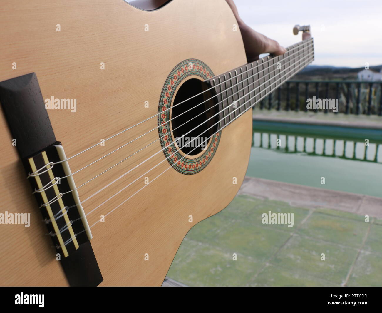 Une capture d'un concept créatif en bois lumineux acustic guitare avec un arrière-plan et d'un palmier et d'un miroir de l'eau de piscine plancher derrière vert à la lumière du soleil. Banque D'Images