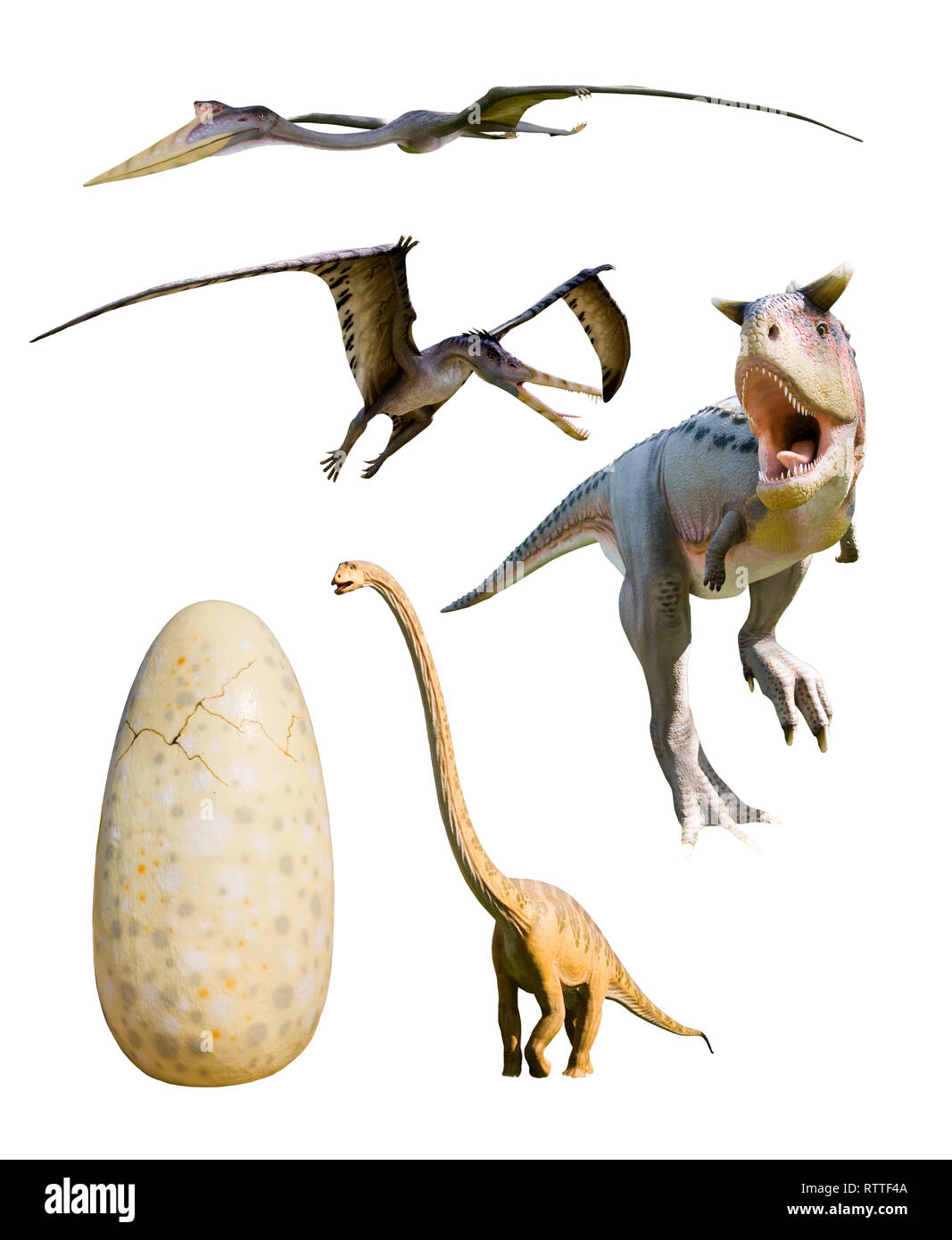 Quatre dinosaures les plus populaires et un énorme oeuf : Ceratosaurus nasicornis, Cearadactylus atrox, Mamenchisaurus constructus, Ceratosaurus Nasicornis - isola Banque D'Images