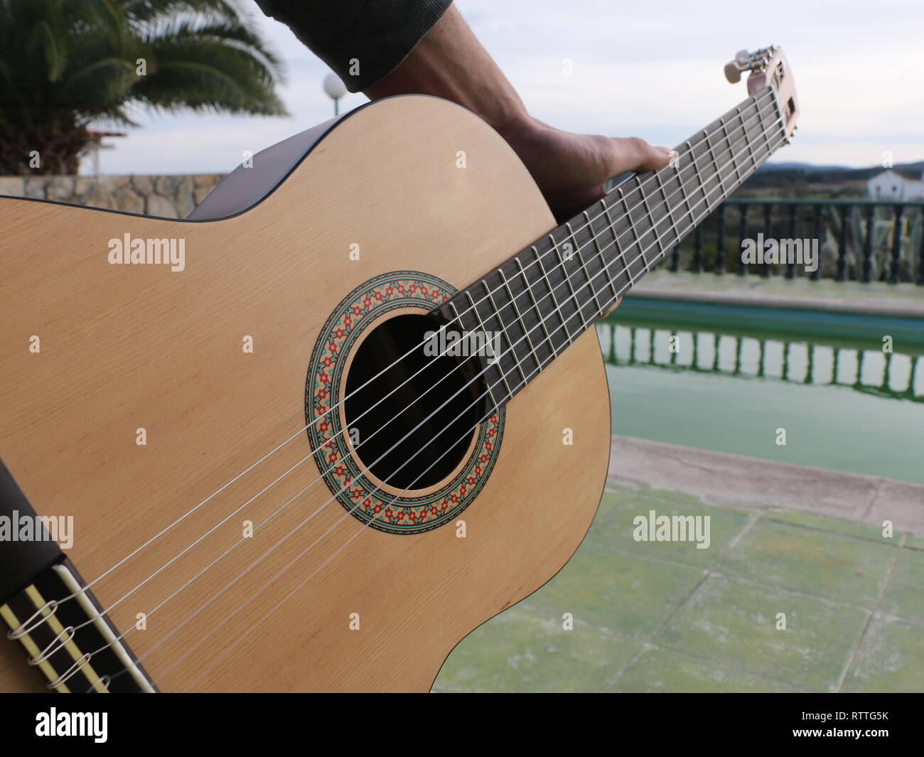Une capture d'un concept créatif en bois lumineux acustic guitare avec un arrière-plan et d'un palmier et d'un miroir de l'eau de piscine plancher derrière vert à la lumière du soleil. Banque D'Images