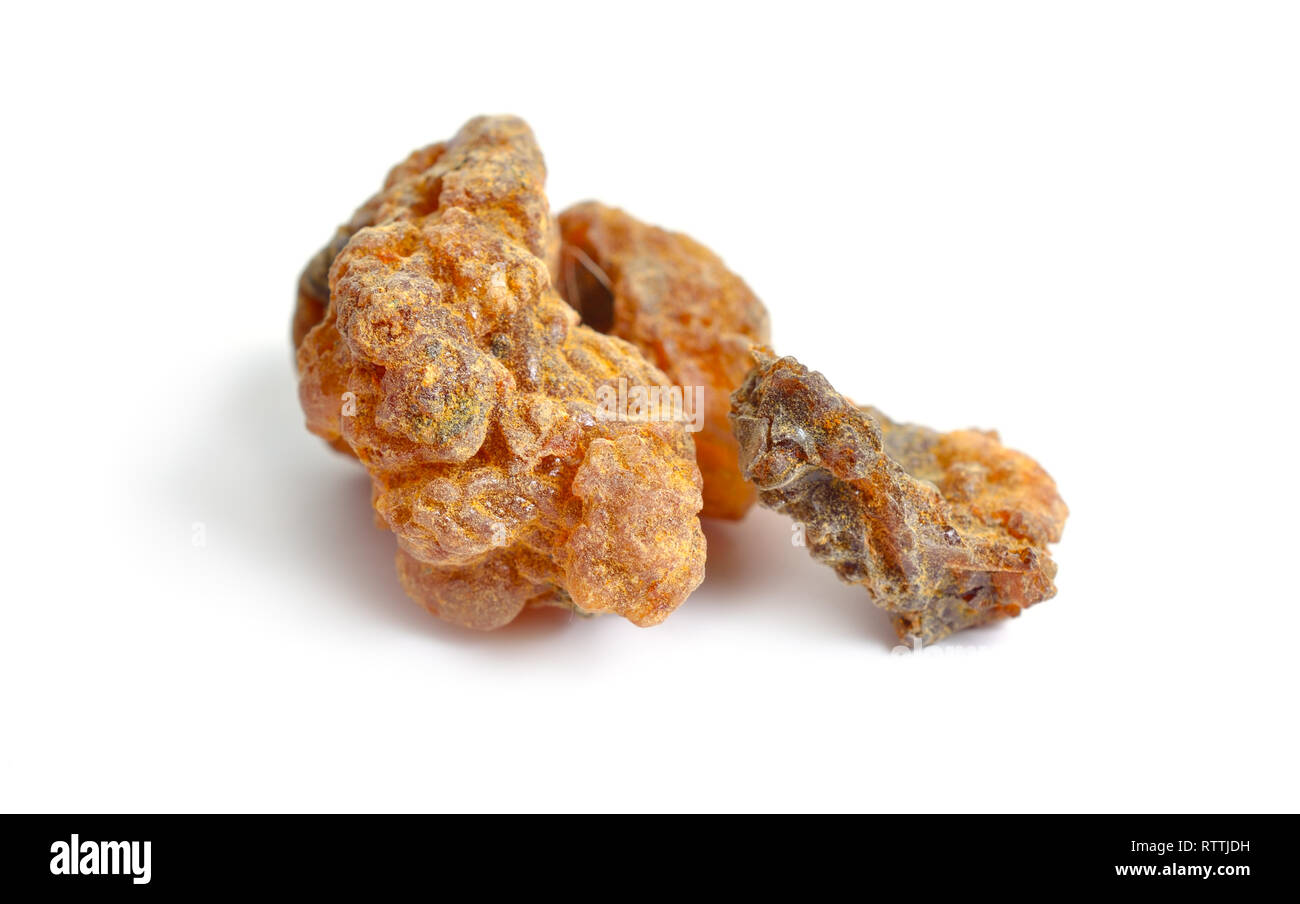 Sweet myrrhe ou Opopanax, également connu sous le nom de opobalsam. Isolated on white Banque D'Images