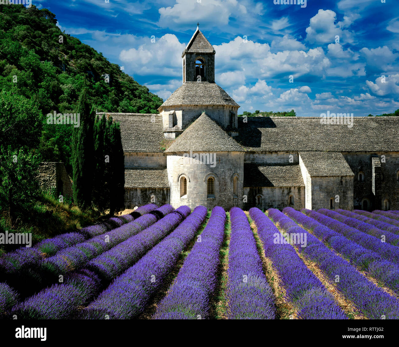 FR - Vaucluse : Abbaye Notre Dame de Sénanque près de Gordes Banque D'Images