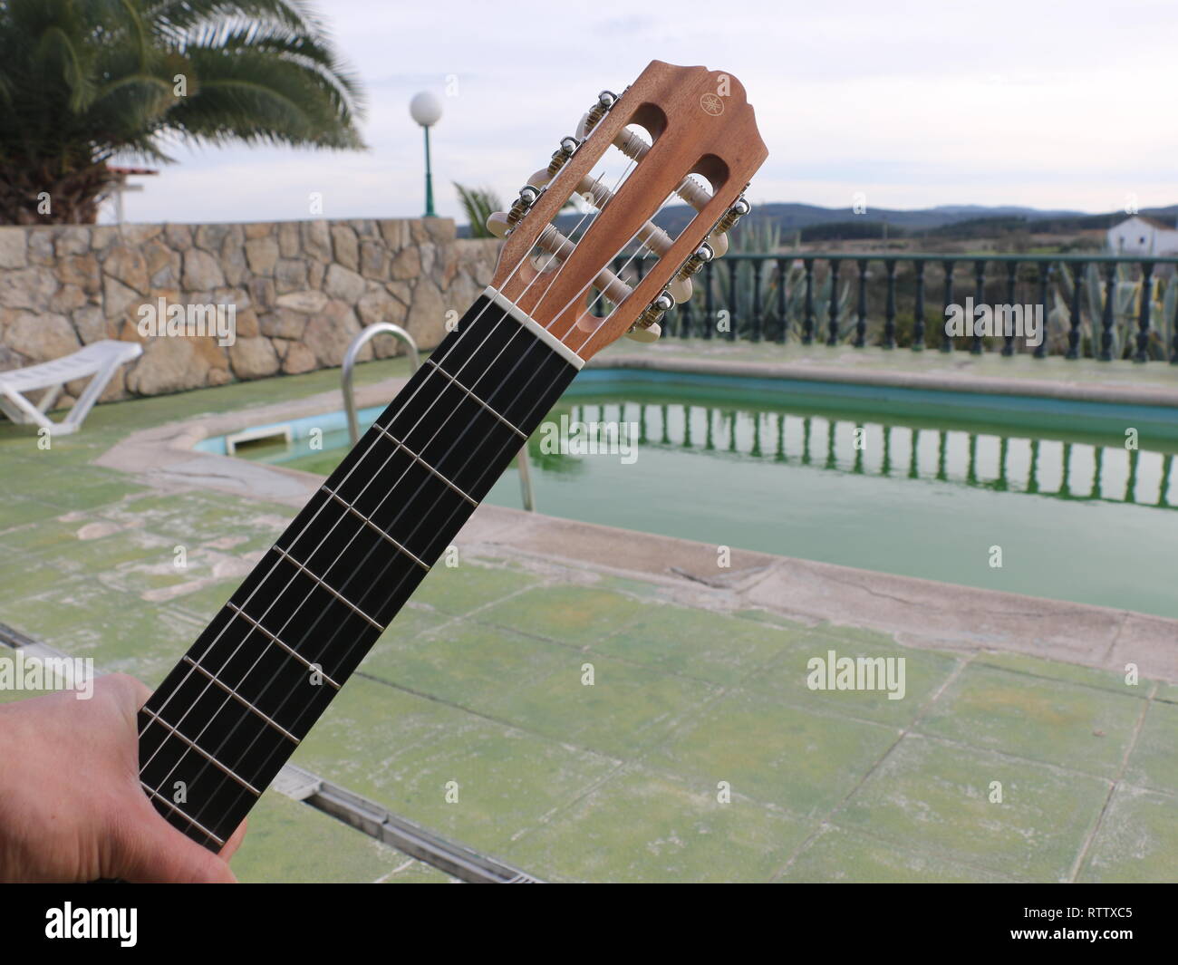 Une capture d'un concept créatif en bois lumineux acustic guitare avec un arrière-plan et d'un palmier et d'un miroir de l'eau de piscine plancher derrière vert à la lumière du soleil. Banque D'Images