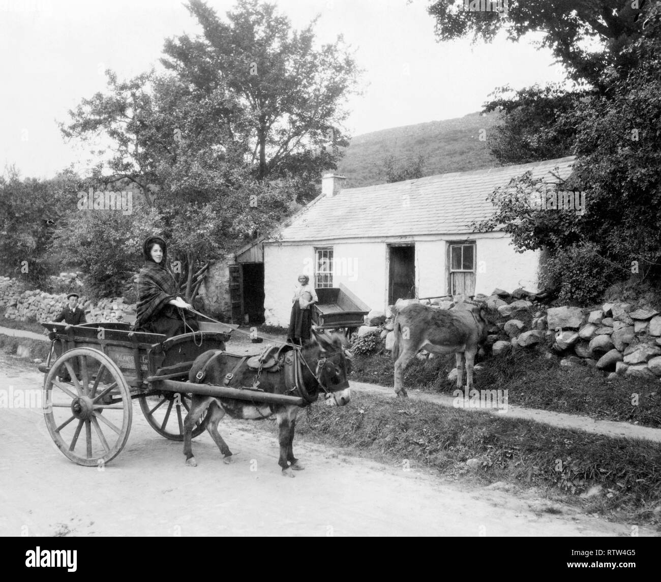 Irlandais traditionnel en pierre avec toiture en ardoise avec woman driving donkey et panier dans l'Irlande rurale vers 1907 mise à jour de l'image en utilisant les techniques de retouche et de restauration numérique Banque D'Images