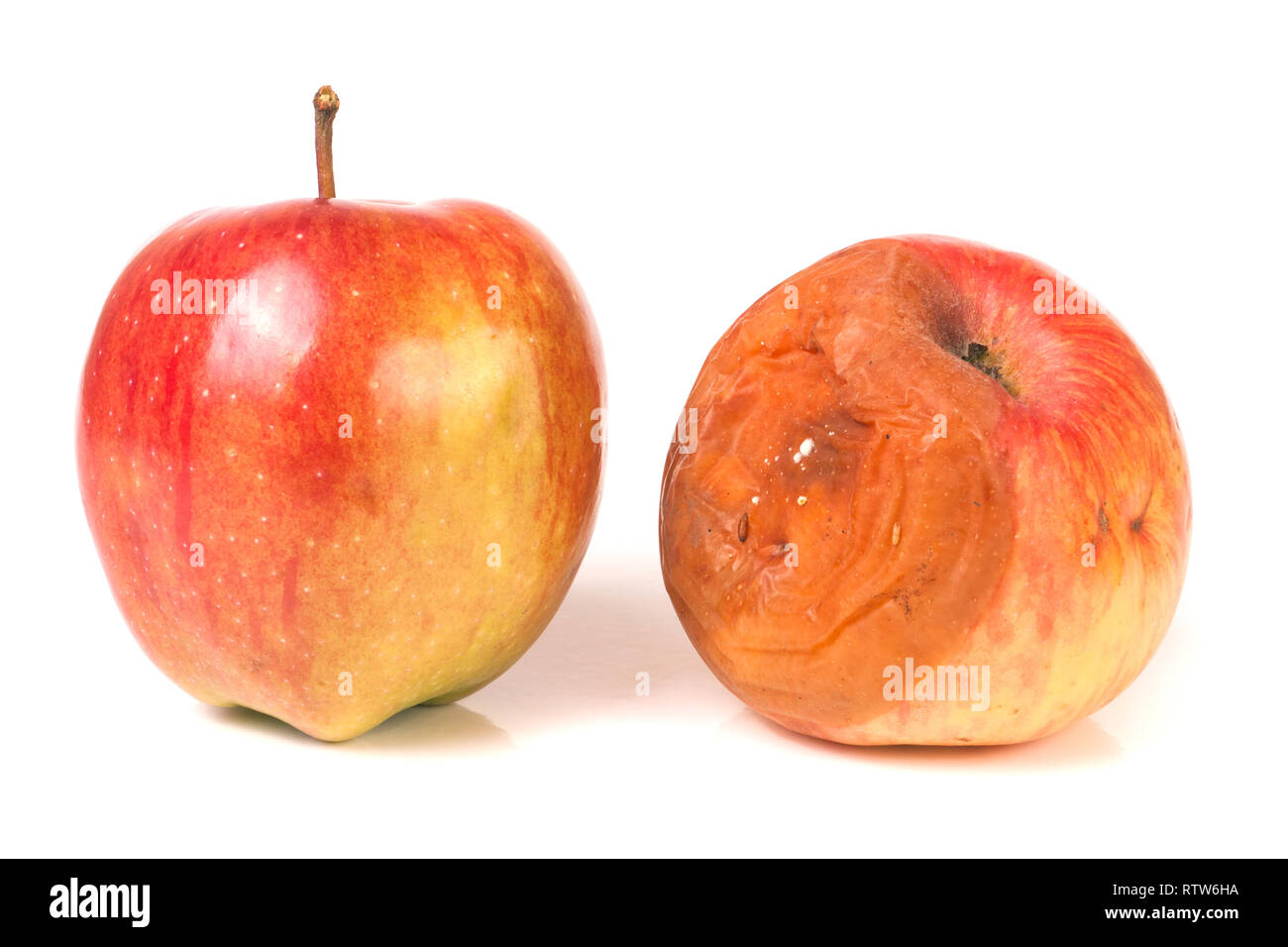 Rotten apple et isolé sur fond blanc Banque D'Images