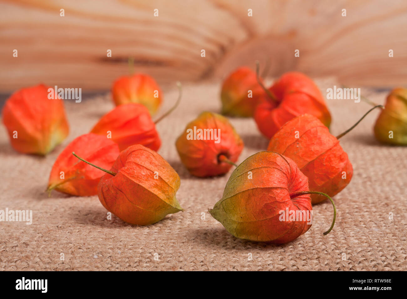 Physalis mûrs éparpillés sur la table de toile Banque D'Images