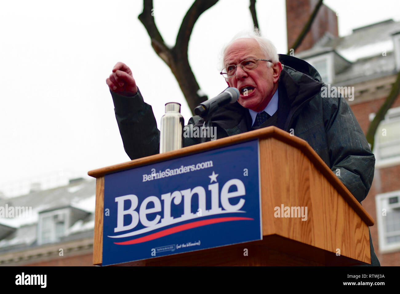 New York, NY, USA. 2 mars, 2019. Bernie Sanders (I-VT) lance sa campagne pour les élections présidentielles américaines de 2020 sur un ticket démocratique lors d'un rassemblement au Brooklyn College, à Brooklyn, New York le 2 mars 2019. Credit : OOgImages/Alamy Live News Banque D'Images
