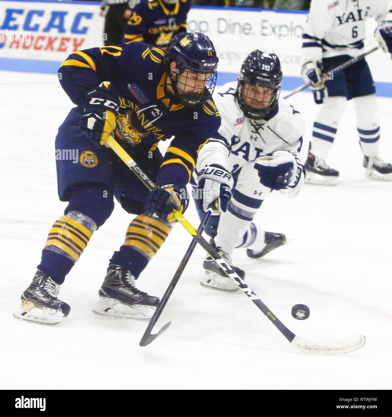 2 mars 2019 - New Haven, CT, États-Unis - Mars 2, 2019 - New Haven, Connecticut, USA Quinnipiac : # 11 WYAT BONGIOVANNI et Yale # 10 CHANDLER LINDSTRAND rivalisent pour la rondelle lors de la victoire de 4-1 sur Quinnipiac Yale, qui a décroché le championnat de la saison régulière, les lynx et les rend le n° 1 dans l'ensemble des semences dans la CEAC 2019 Tournoi de hockey. Matches entre les deux écoles, qui se trouvent à 13 km de l'autre à New York, ont été une rivalité chauffée depuis à 2 équipes a joué pour un championnat national en 2013, qui a été remporté par Yale 4-0. Stan Godlewski/ZUMA Press (crédit Image : © Stan Godlewski/Zuma sur le fil) Banque D'Images