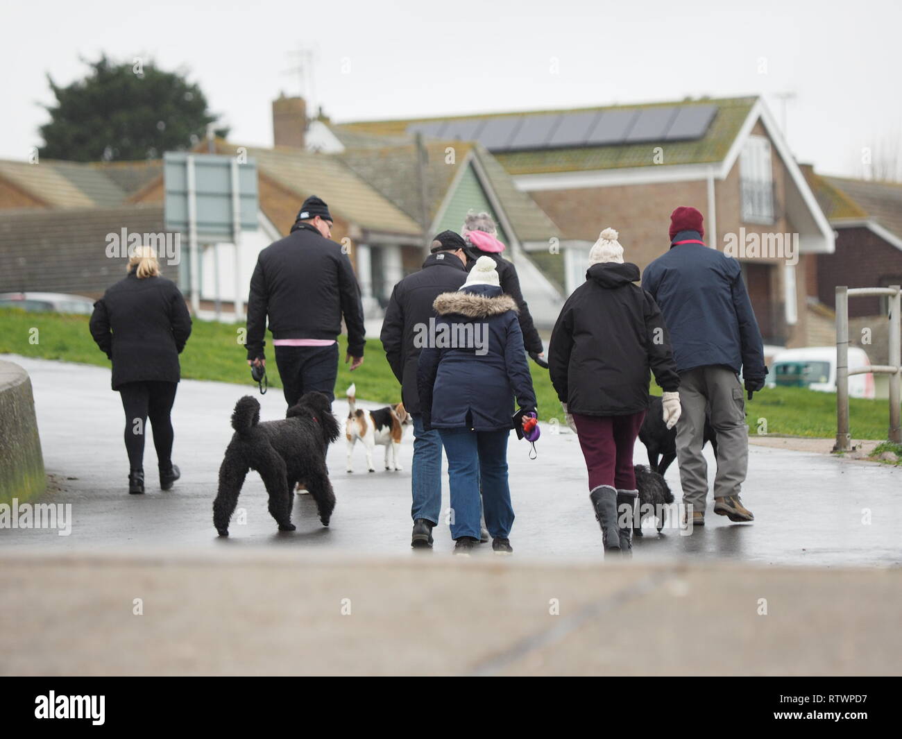 Minster sur mer, Kent, UK. 3 mars, 2019. Météo France : un temps venteux et pluvieux à Minster sur mer, Kent que storm Freya hits. Credit : James Bell/Alamy Live News Banque D'Images