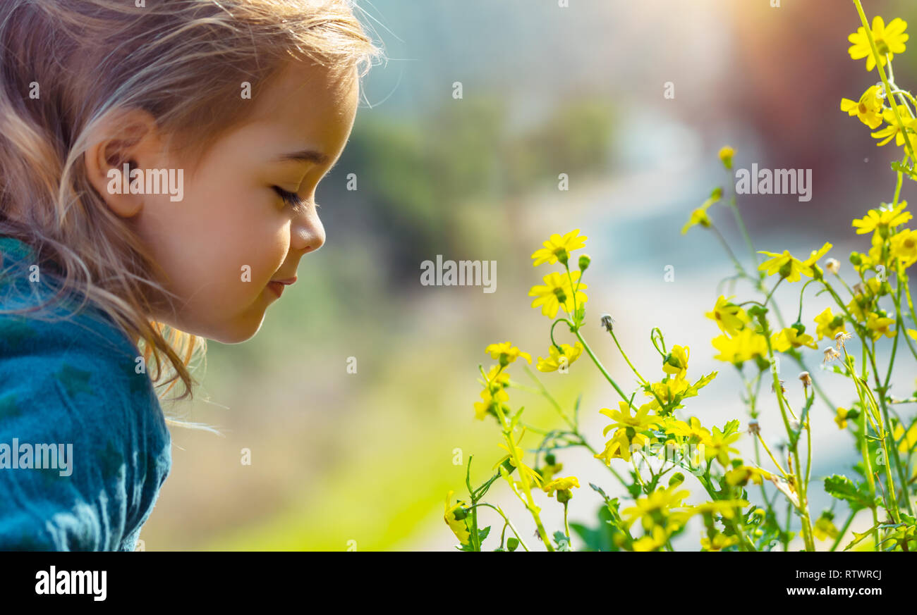 Portrait De Profil D Un Gentil Petit Bebe Profiter De L Arome Des Fleurs S Amuser Dans Le Parc Au Printemps La Beaute Et La Fraicheur Des Petites Fleurs Jaune Photo Stock Alamy