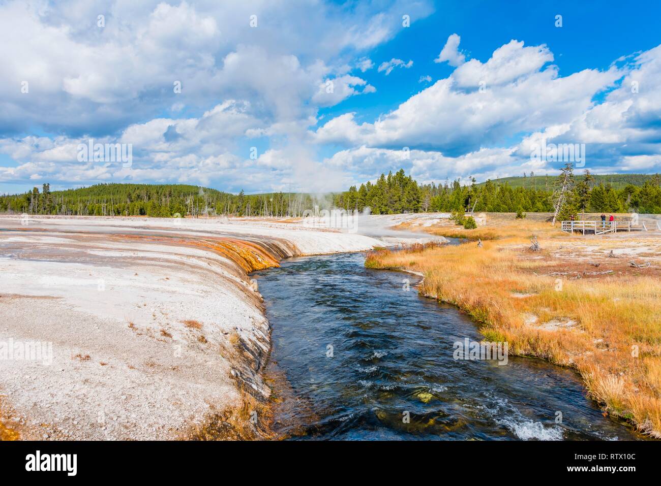 Hot springs à Iron Spring Creek, rivière dans le bassin de sable noir, Parc National de Yellowstone, Wyoming, USA Banque D'Images