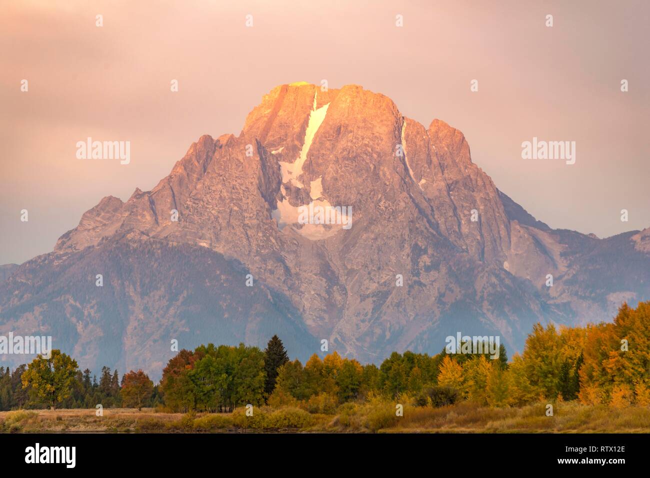 Mont Moran, matin l'humeur, les arbres d'automne et le Grand Teton Range, Grand Teton National Park, Wyoming, USA Banque D'Images