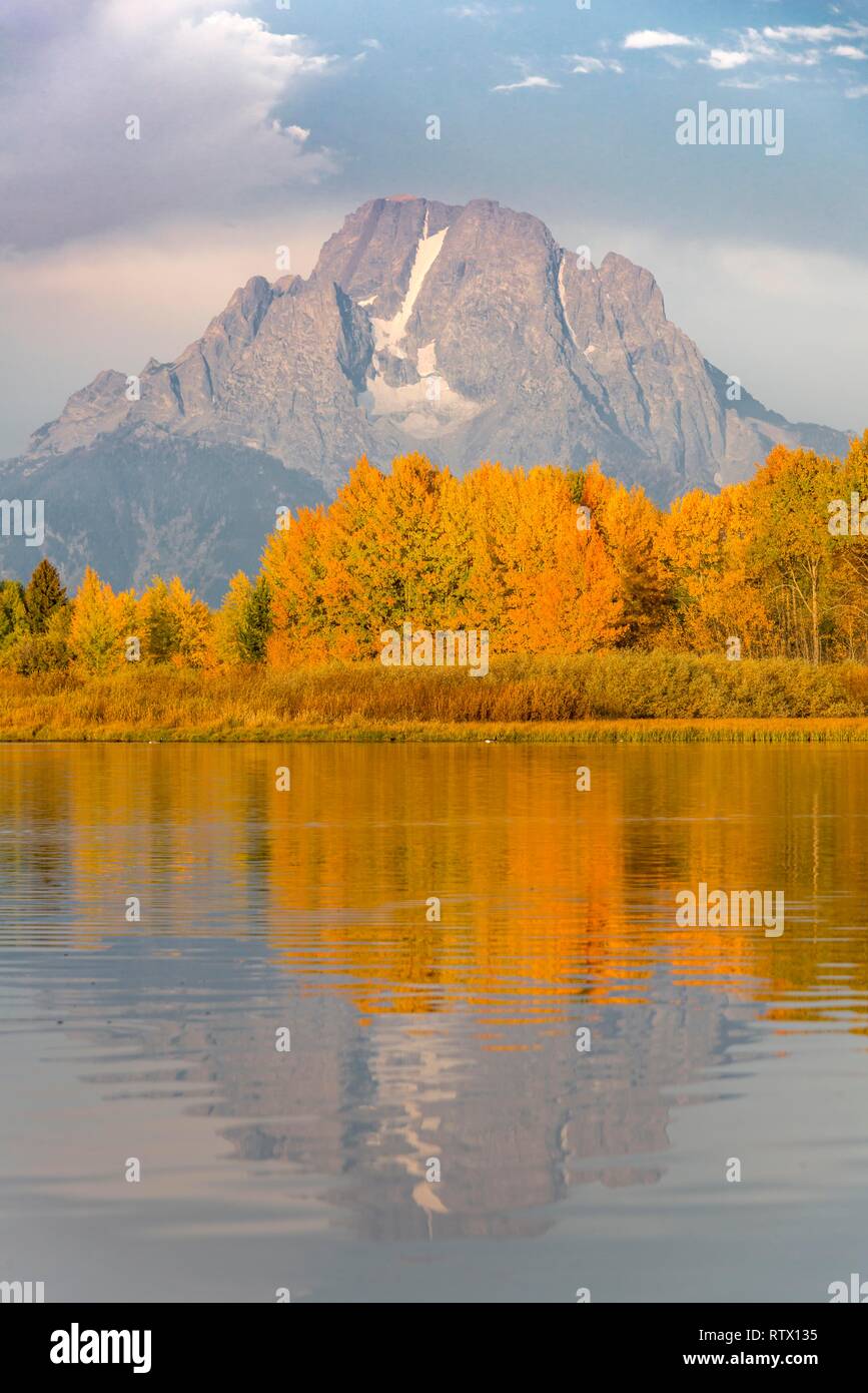 Mont Moran reflète dans la rivière Snake, à l'humeur du matin Oxbow Bend, les arbres d'automne et le Grand Teton Range, Grand Teton National Park Banque D'Images