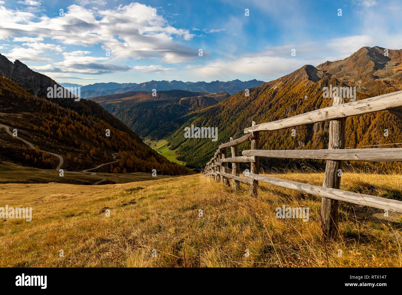 La montagne d'automne forêt de mélèzes (Larix decidua) avec chemin, Vals, Val, vallée du Tyrol du Sud, Italie Banque D'Images