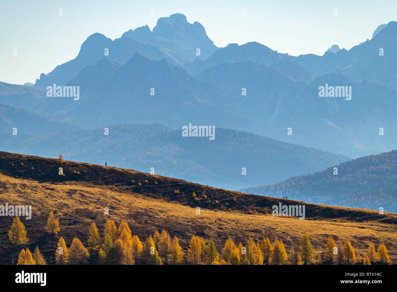 Randonneurs sur la crête d'automne avec Peitlerkofl dans l'arrière-plan, Vals, Valstal, Tyrol du Sud, Italie Banque D'Images