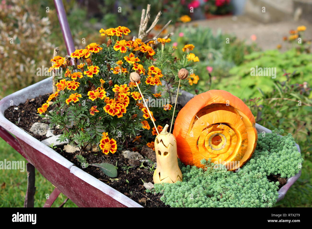 Jardin Décoration halloween faites à partir de la brouette remplie de la citrouille et la courge à ressembler à escargot mignon entouré de fleurs colorées Banque D'Images