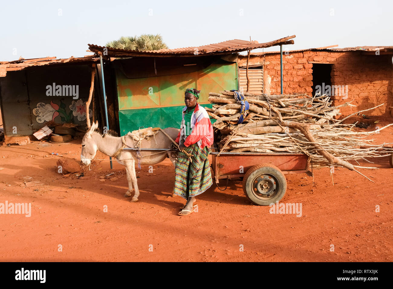 Une femme à la tête d'un âne empilées de bois dans un village près de Bobo-Dioulasso à l'ouest du Burkina Faso Banque D'Images