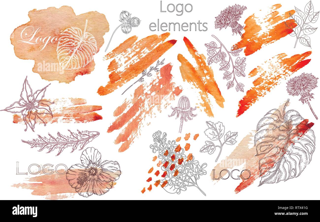 Ensemble d'étiquettes aquarelle dessiné à la main et des insignes pour la beauté, santé et bien-être. Illustrations vectorielles pour la conception graphique et web, pour les cosmétiques Illustration de Vecteur Ensemble d'étiquettes aquarelle dessiné à la main et des insignes pour la beauté, santé et bien-être. Illustrations vectorielles pour la conception graphique et web, pour les cosmétiques Illustration de Vecteur