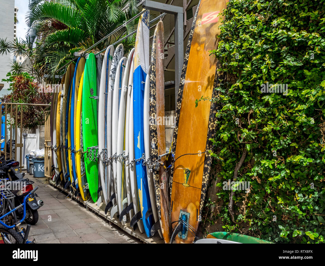 Locations de surf attendent les touristes à Waikiki le 24 avril 2014 à Oahu. La plage de Waikiki est quartier en bord de Honolulu, mieux connu pour whit Banque D'Images