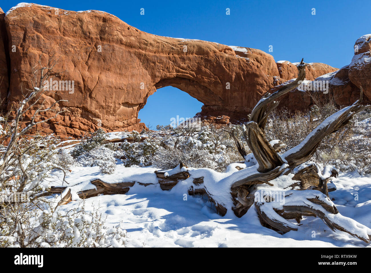 Surface couverte de neige avec une belle fenêtre du Nord avec un ciel bleu en arrière-plan, l'Arches National Park Banque D'Images