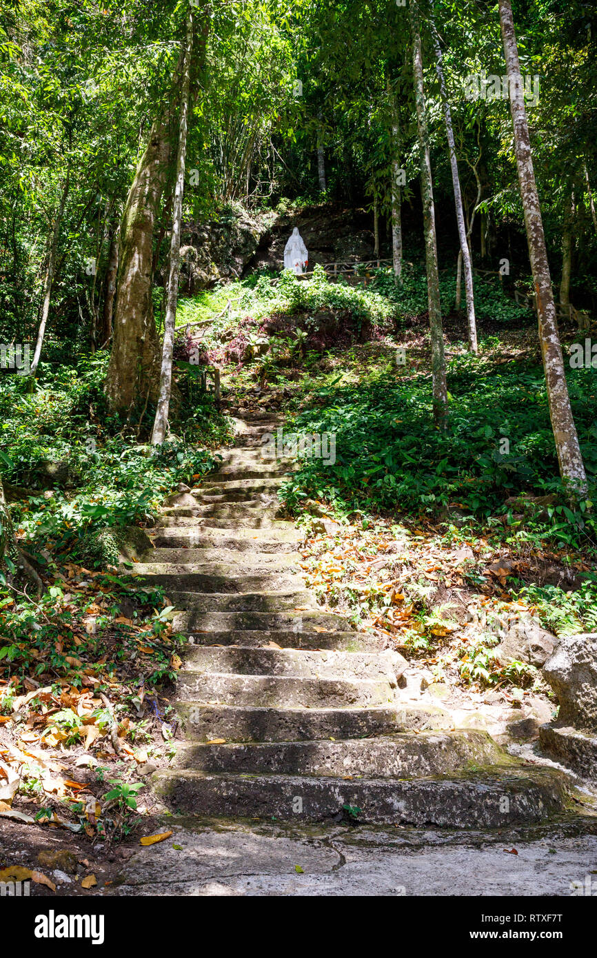 DAM BRI, VIETNAM - 19 février 2018 : escalier à un whte sainte statue au sommet d'une colline dans la forêt en Dam Bri, Vietnam Banque D'Images