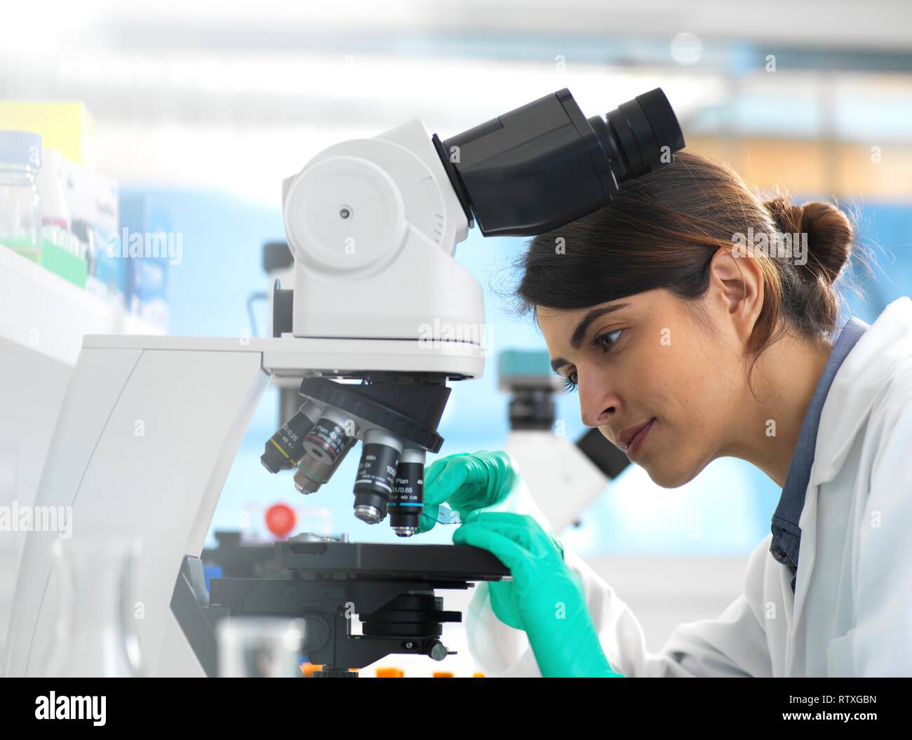 Les scientifiques de l'affichage d'un échantillon médical sur une lame de verre sous un microscope dans le laboratoire. Banque D'Images