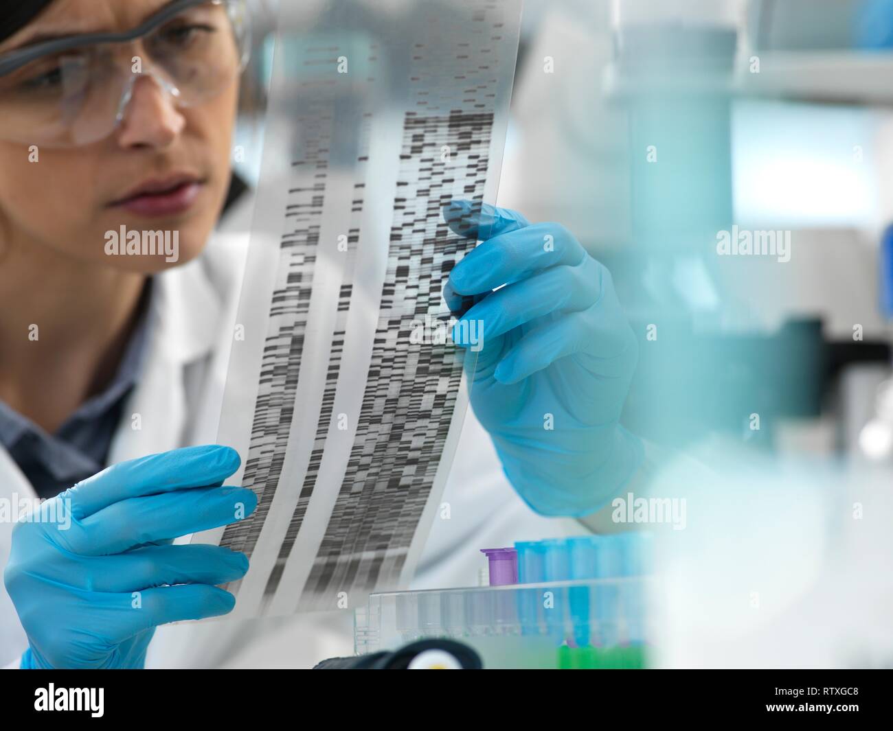 Female scientist de l'affichage d'un autoradiogram gel pendant une expérience en laboratoire. Banque D'Images