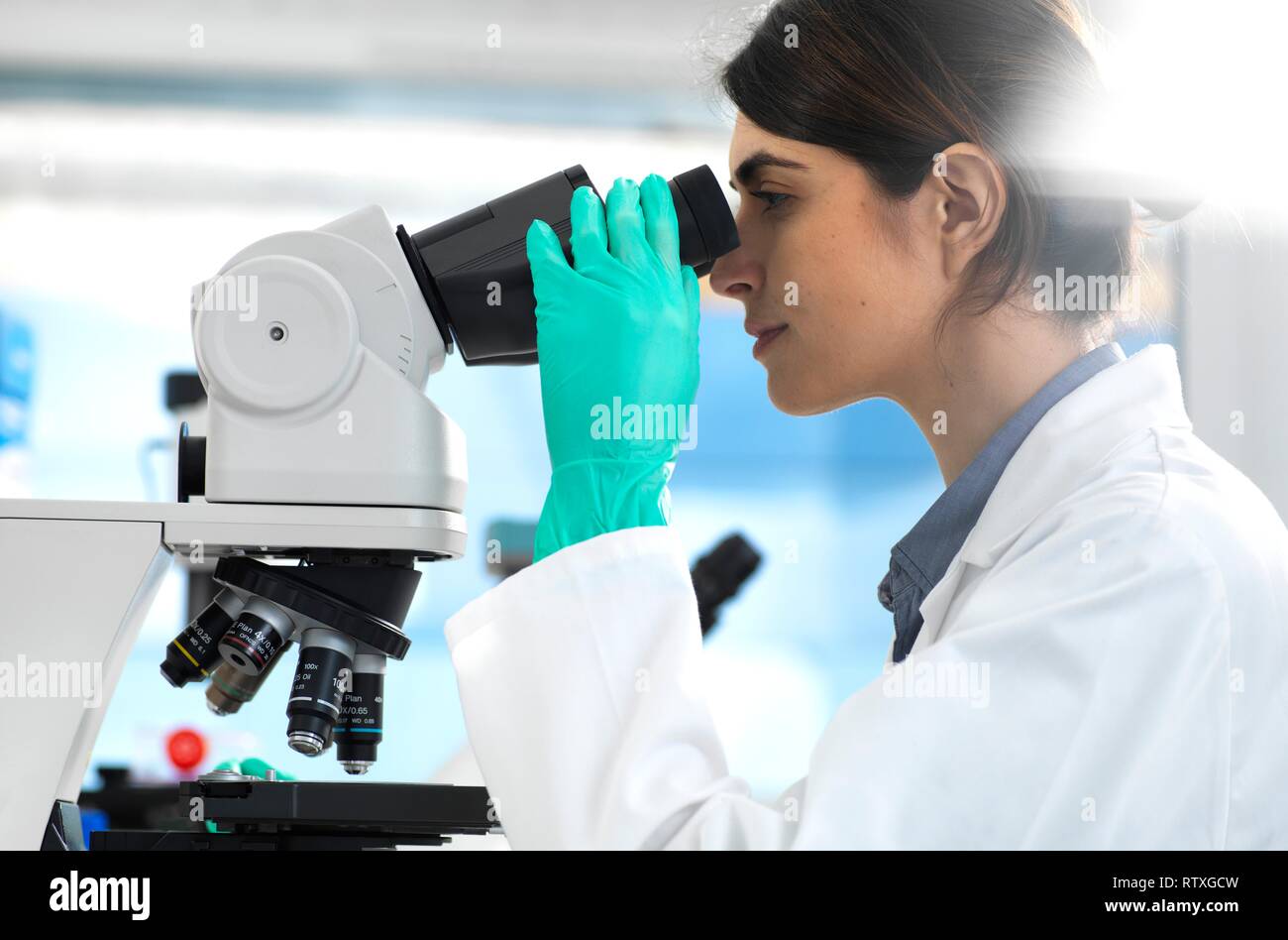 L'examen scientifique des spécimens au microscope au cours d'un essai clinique dans le laboratoire. Banque D'Images