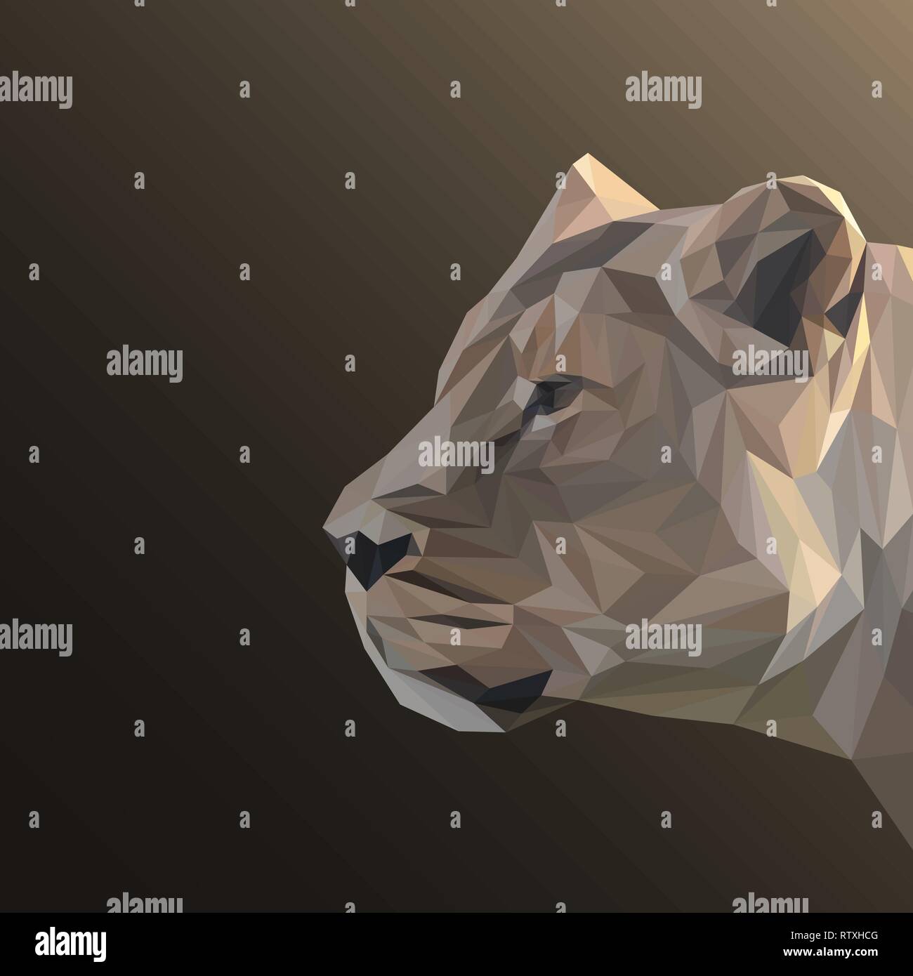 Lionne poly bas design. Illustration vecteur de triangle. Illustration de Vecteur