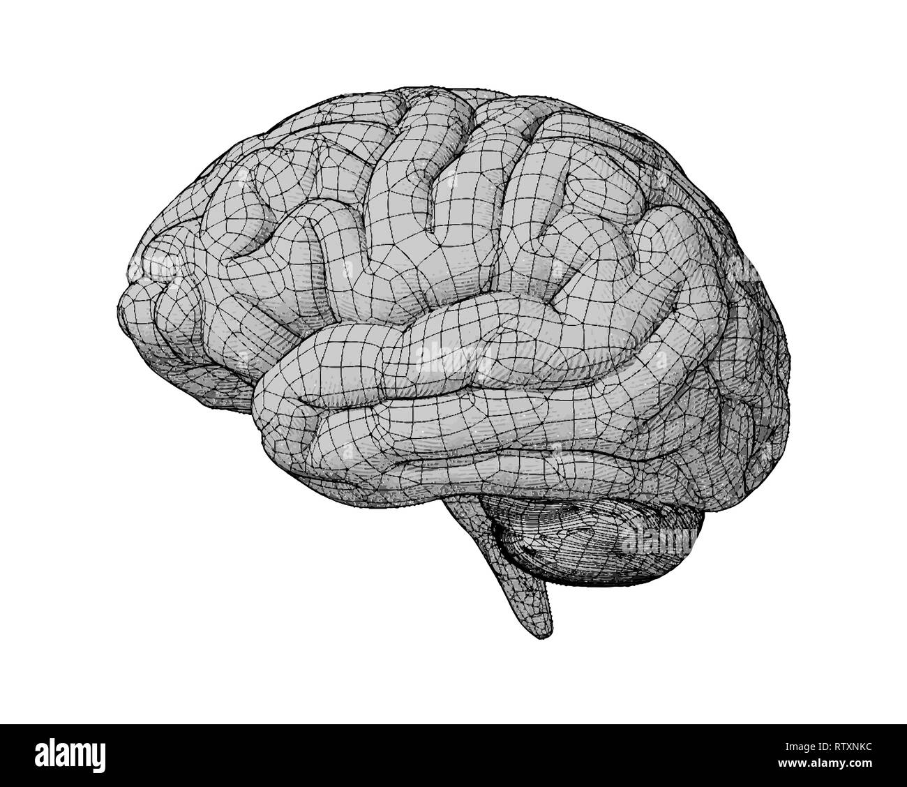 Vue latérale du cerveau monochrome avec dessins manuels vintage style illustration on white BG Banque D'Images