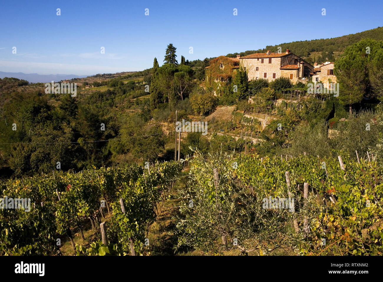 Vue sur la 'Casa Colonica' de Castello di Lamole, Toscane, Italie Banque D'Images Vue sur la 'Casa Colonica' de Castello di Lamole, Toscane, Italie Banque D'Images