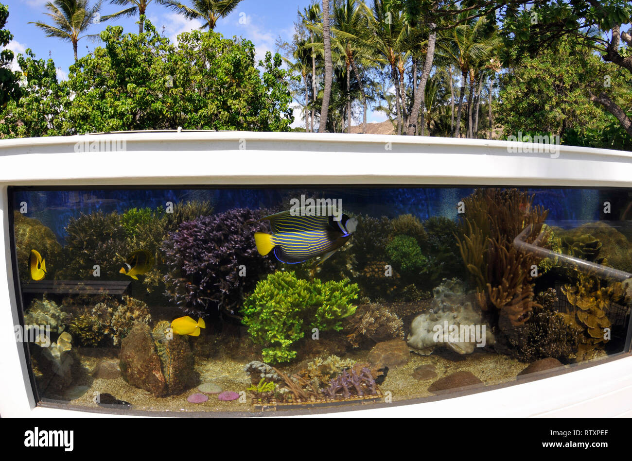 Afficher les aquariums Banque de photographies et d’images à haute