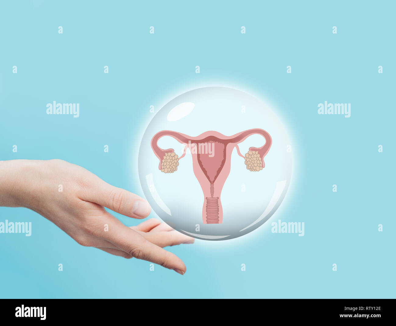 Femme main tenant un modèle virtuel de l'utérus et des ovaires. Système reproducteur femelle Banque D'Images