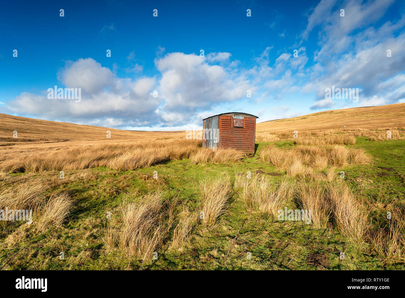 Un vieux shetler sur la lande à Tan Hill dans le Parc National des Yorkshire Dales et sur les bords de Cumbria et Durham County Banque D'Images