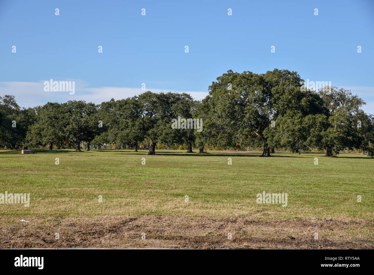 L'équitation de vélo autour de New Orleans City Park Banque D'Images