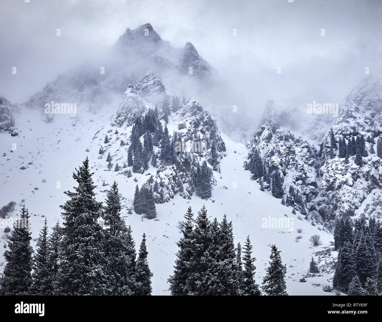 De hautes montagnes avec de la neige et de pins sur un sommet à l'heure d'hiver Banque D'Images