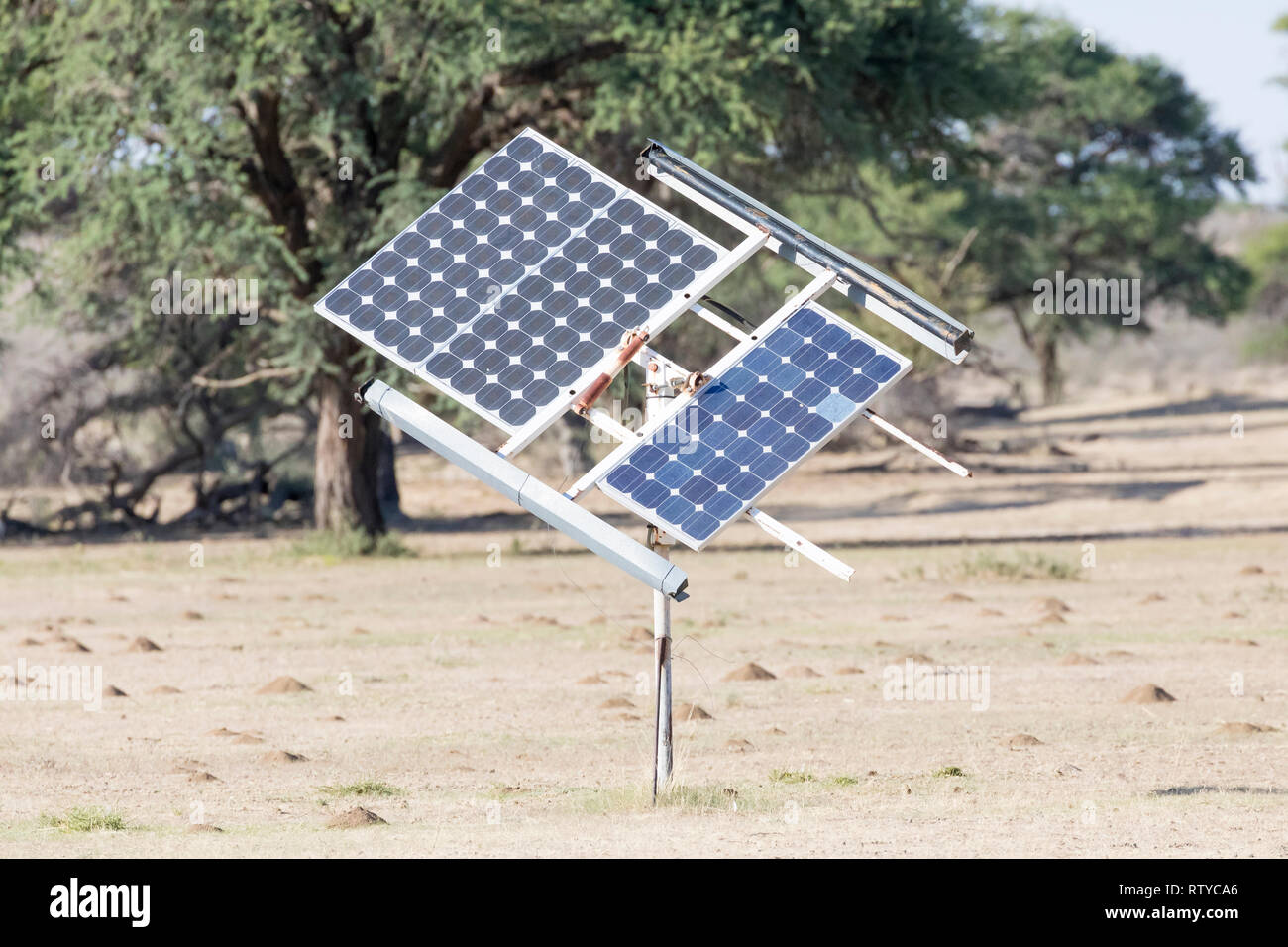 Panneau solaire photovoltaïque l'énergie renouvelable dans le parc transfrontalier de Kgalagadi, Northern Cape, Afrique du Sud pour les trous de fournir de l'eau Banque D'Images