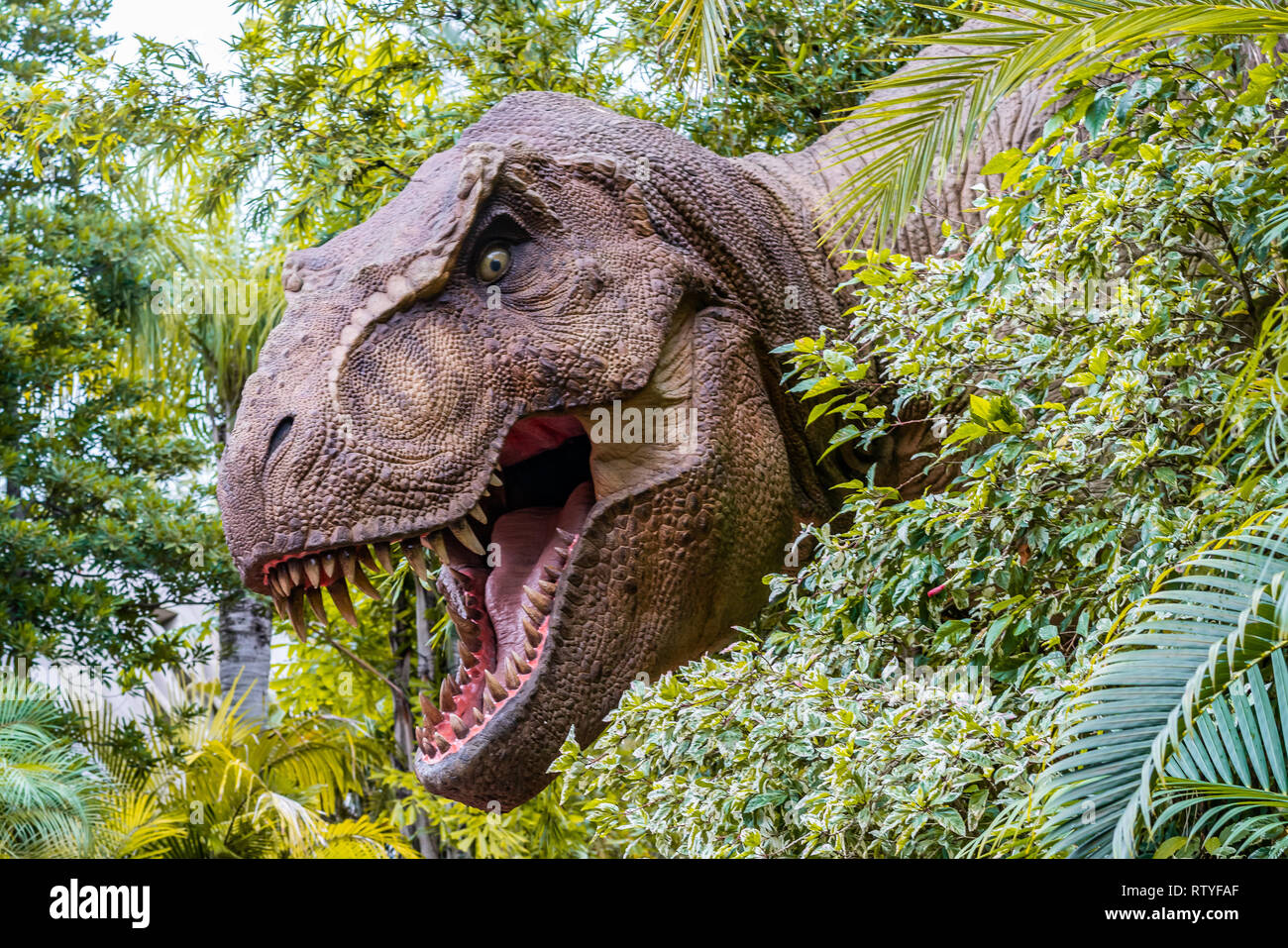 ORLANDO, FLORIDE, USA - DÉCEMBRE, 2018 : entre les buissons de dinosaures avec sa bouche ouverte montrant ses dents à Jurassic Parc à thème, les Studios Universal ou Banque D'Images
