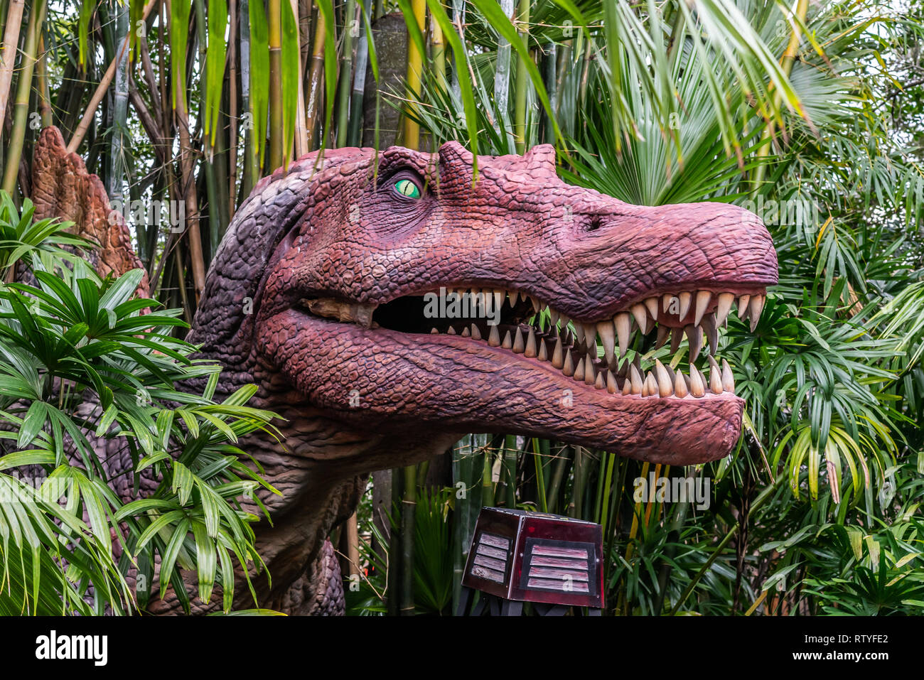 ORLANDO, FLORIDE, USA - DÉCEMBRE, 2018 : entre les buissons de dinosaures avec sa bouche ouverte montrant ses dents à Jurassic Parc à thème, les Studios Universal ou Banque D'Images