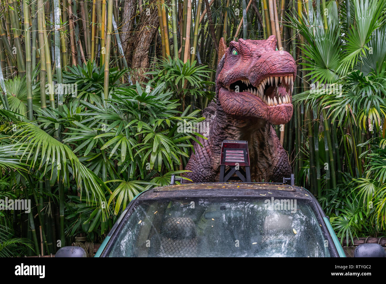 ORLANDO, FLORIDE, USA - DÉCEMBRE, 2018 : entre les buissons de dinosaures avec sa bouche ouverte montrant ses dents sur une voiture dans le parc à thème Universal Studios O Banque D'Images