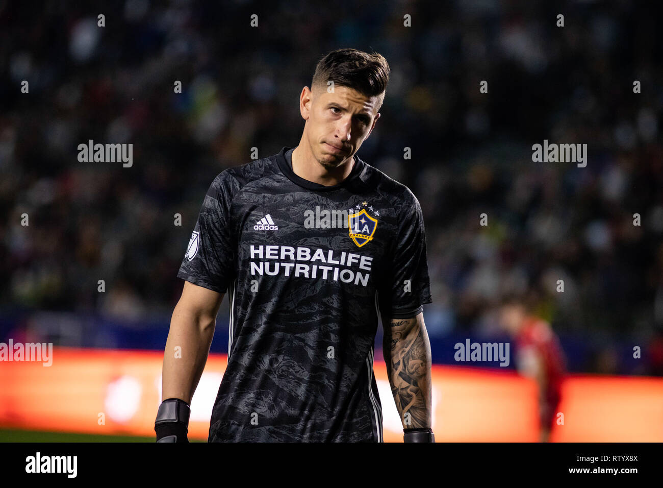 Carson, USA. 2 mars, 2019. David Bingham lors de l'ouverture de la saison du Galaxy 2-1 victoire contre les Chicago Fire. Crédit : Ben Nichols/Alamy Live News Banque D'Images