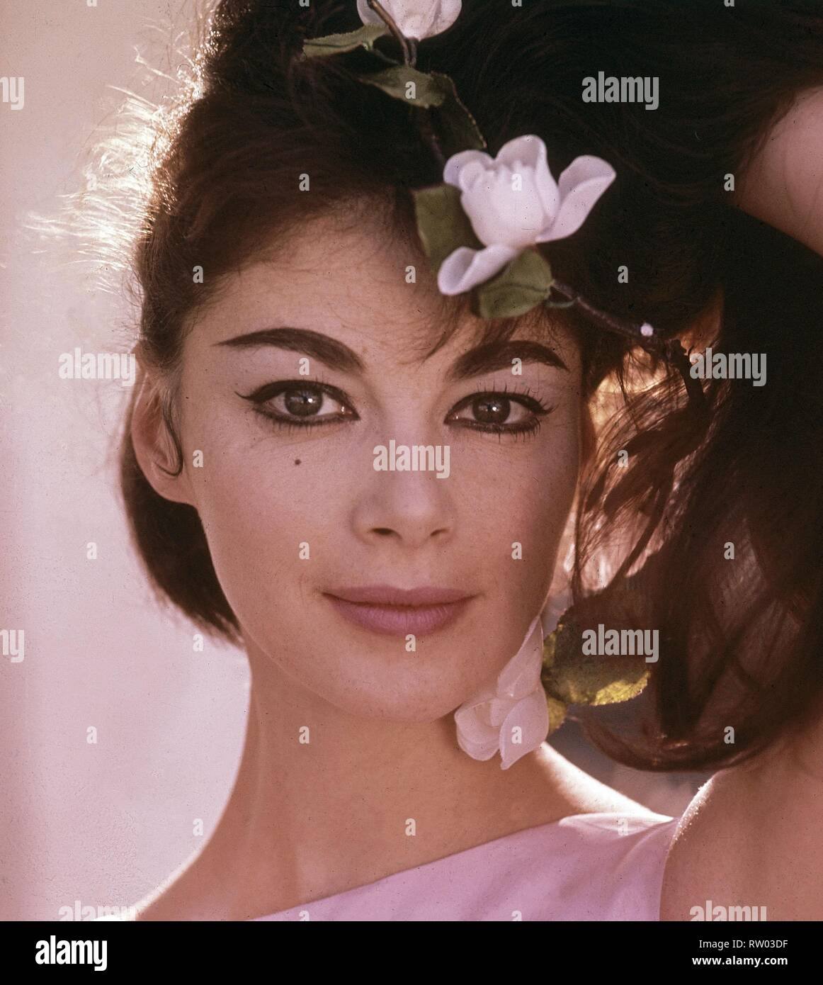 ANA MARIA PIERANGELI CONOCIDA COMO PIER ANGELI (1932-1971) ACTRIZ ITALIANA. Banque D'Images