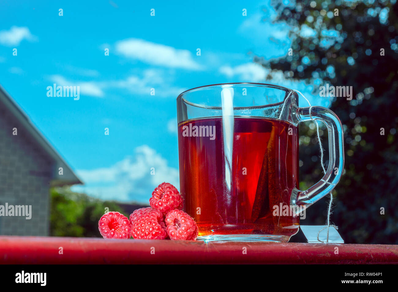 Plateau utile brassée à partir d'un sac avec des produits frais, framboises mûres, sur la nature, contre un ciel bleu avec des nuages Banque D'Images