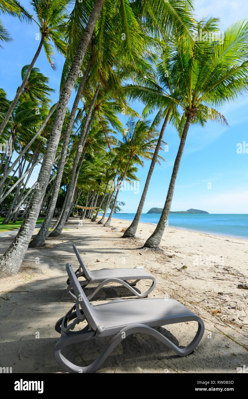 Transats sous les palmiers pliées le long de la plage, à Palm Cove, plages du nord de Cairns, Far North Queensland, Queensland, Australie, FNQ Banque D'Images