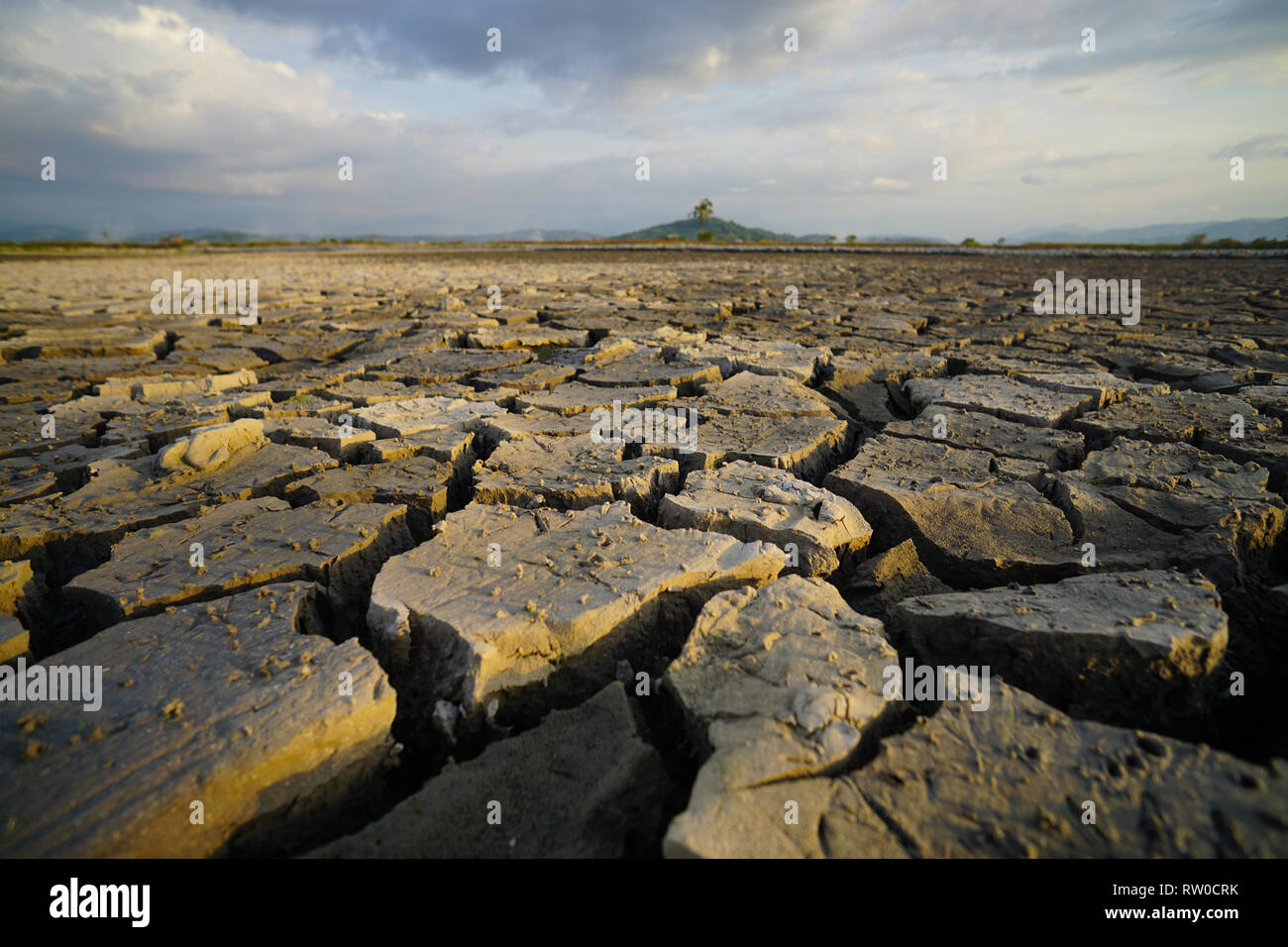 En période de sécheresse du sol Crack saison sèche à campagne de Bornéo. Banque D'Images