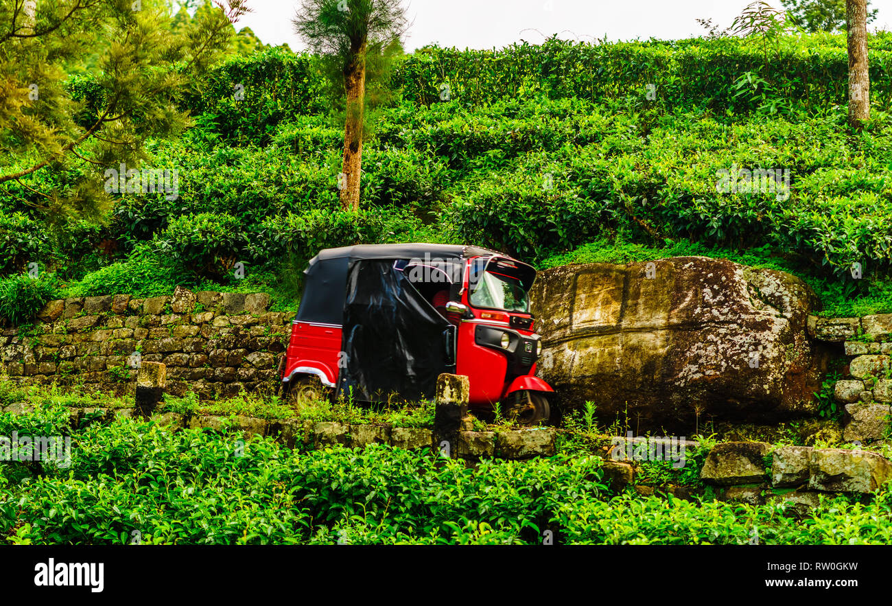 Vue sur Tuk Tuk rouge sur le chemin de la plantation de thé à Haputale, Sri Lanka Banque D'Images
