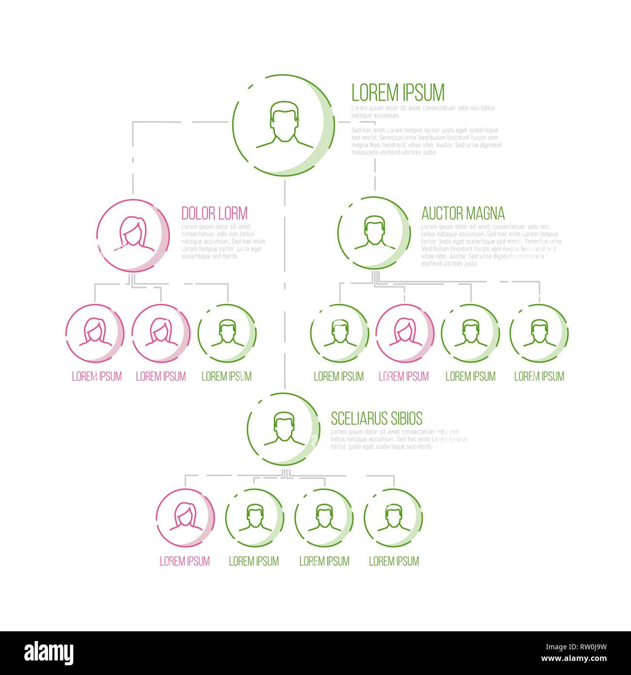 La direction de l'entreprise modèle de schéma de hiérarchie avec fine ligne icônes de profil - version couleur rose et vert Illustration de Vecteur